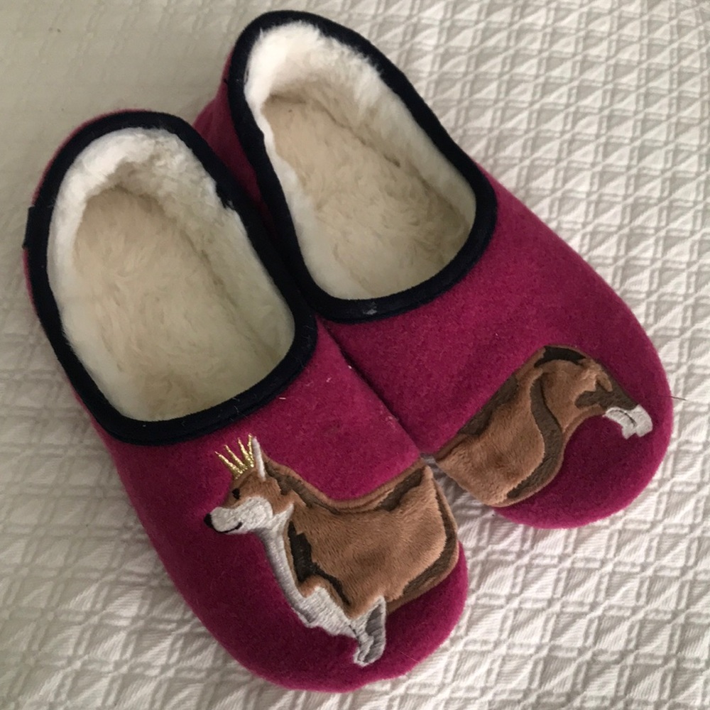 Dachshund slippers 💗